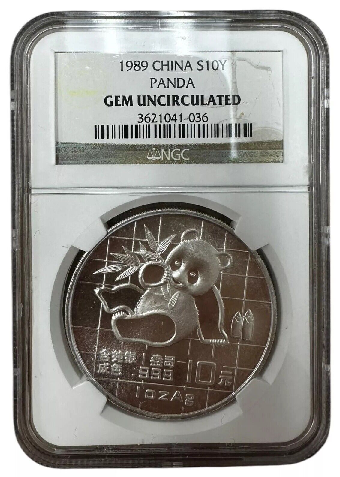 1989 China Silver Panda 10 Yuan S10Y NGC